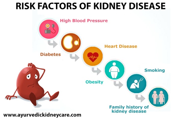 risk-factors-of-kidney-disease-almawi-limited-the-holistic-clinic